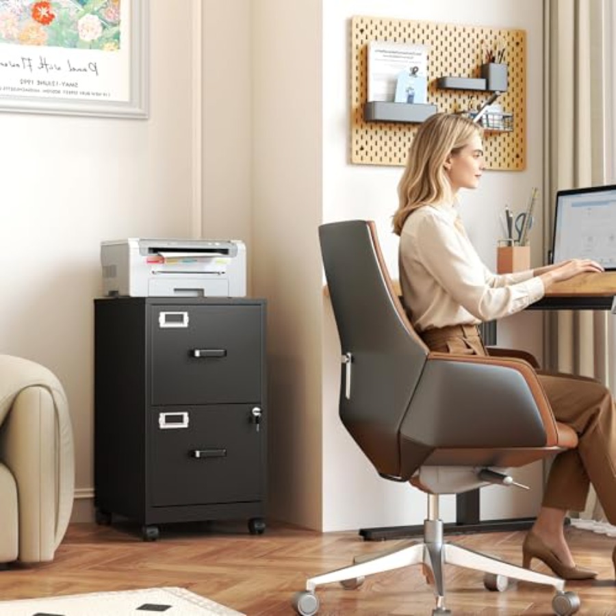 2-Drawer Rolling File Cabinet  - File Folder Hanging review and price