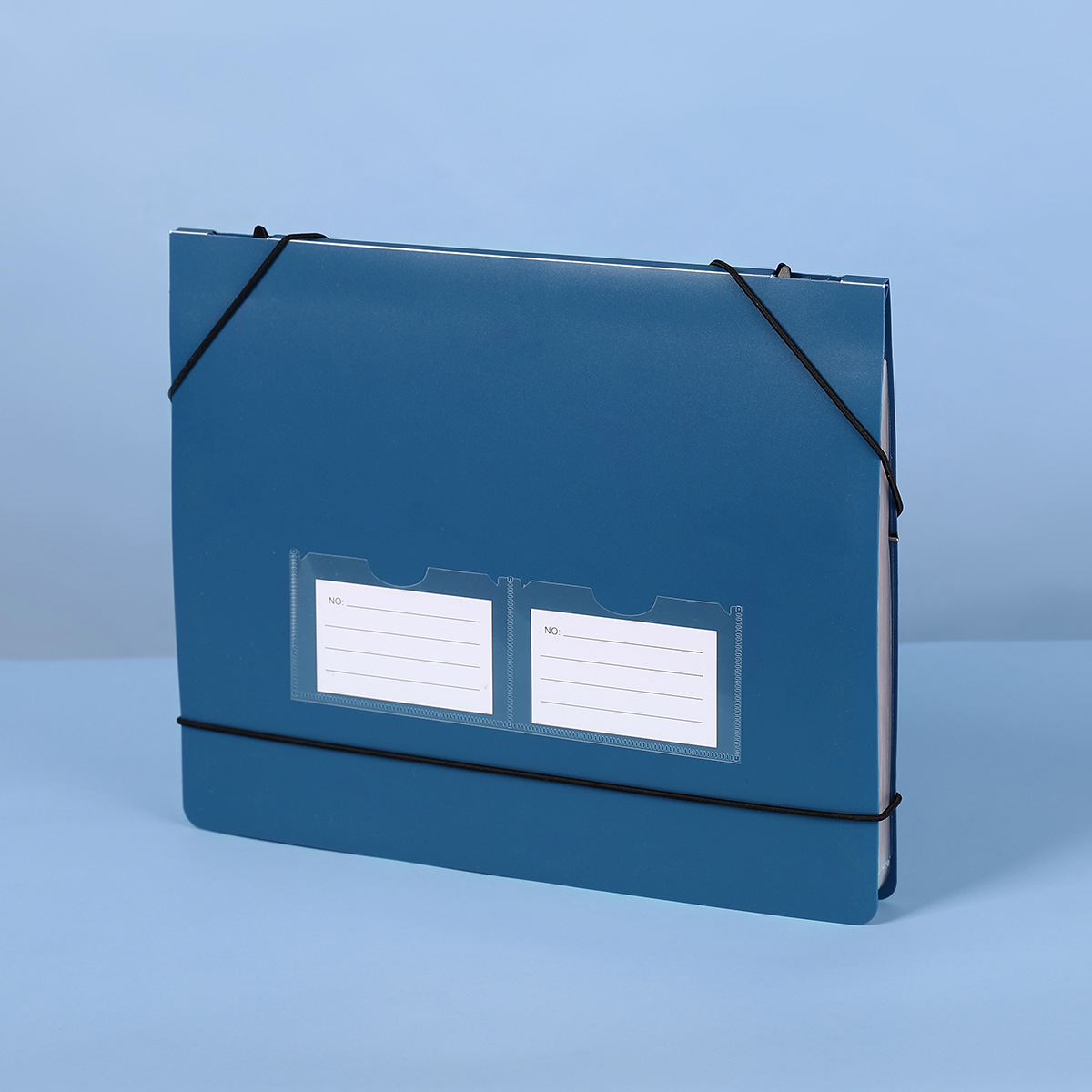 Hanging Accordion File Folder  - File Folder Hanging review and price